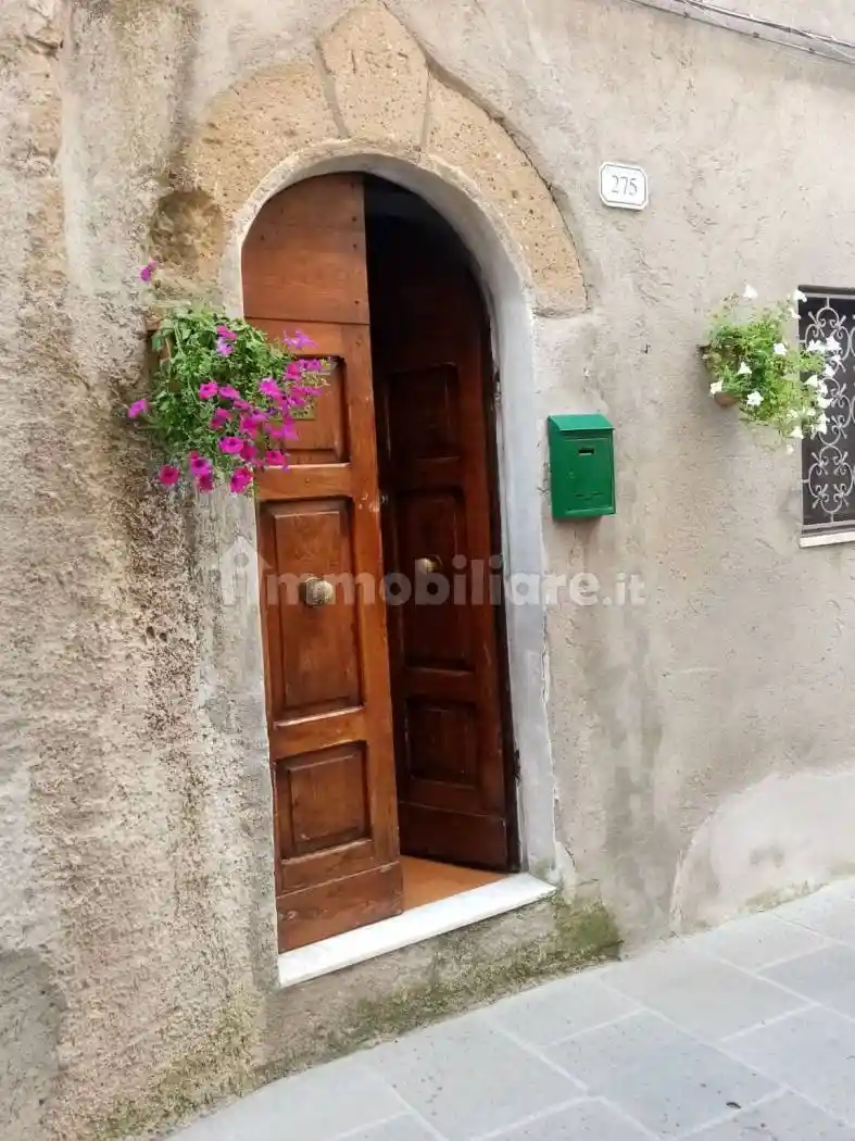 Casa indipendente in vendita a Pitigliano