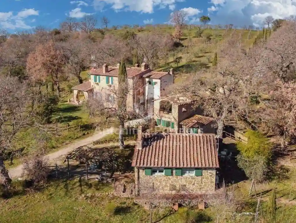 Rustico - Casale - foto 2
