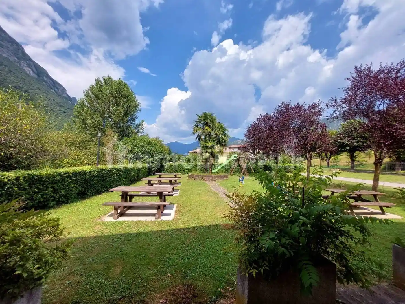 Palazzo - Edificio - foto 5