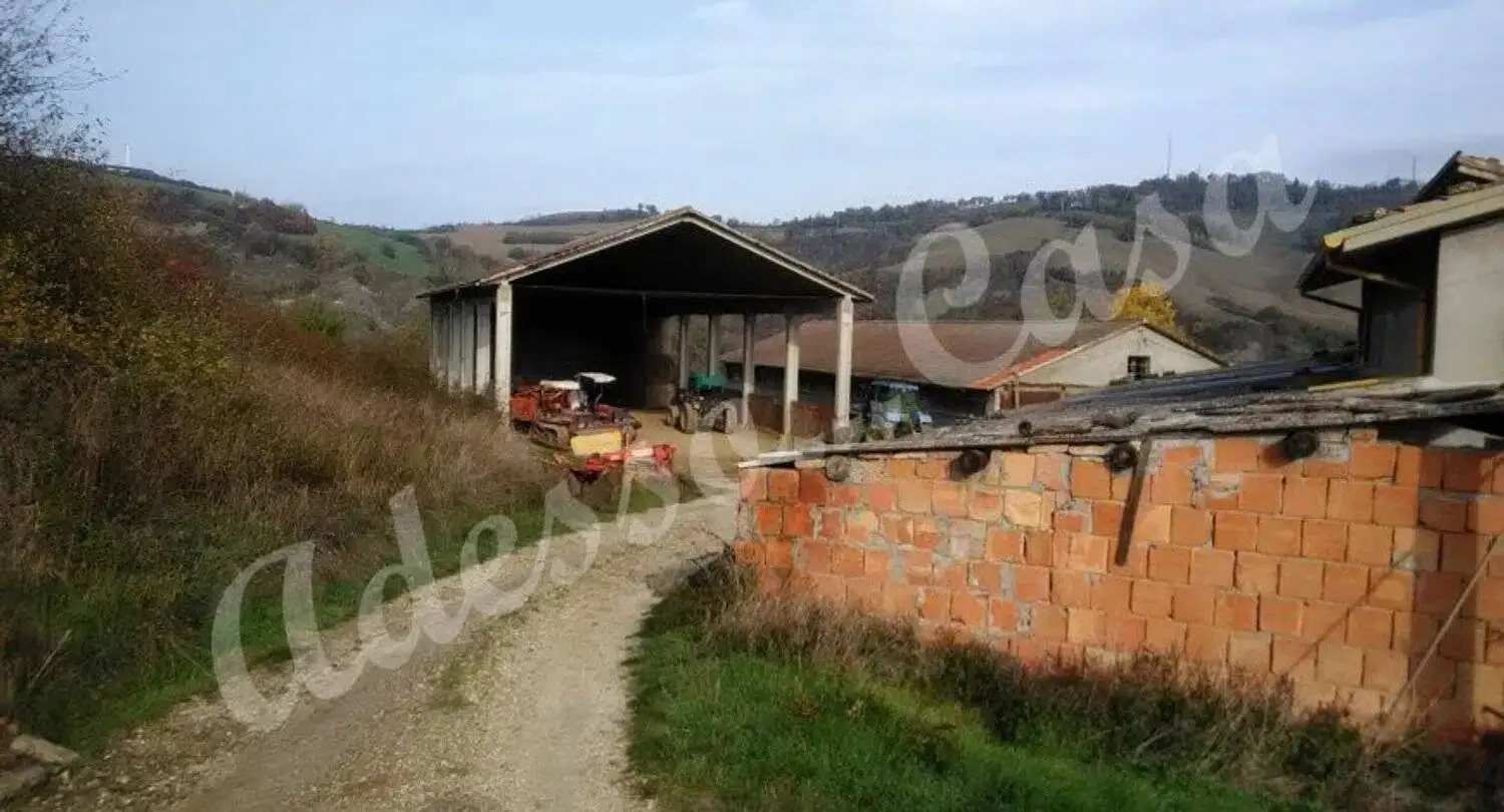 Rustico - Casale in vendita a Meldola