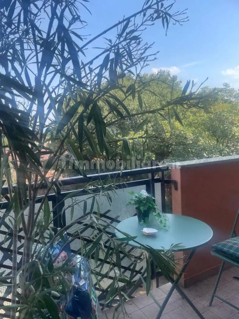 Appartamento in affitto a Monza