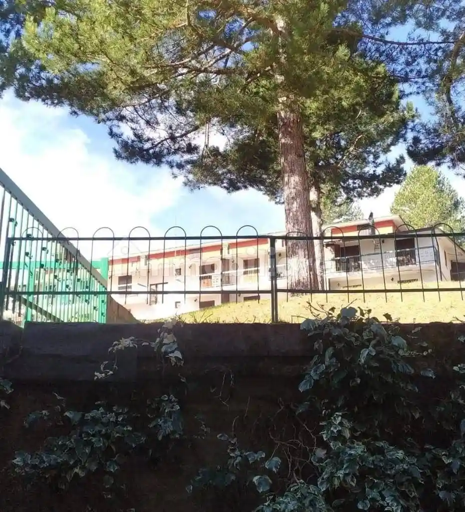 Trilocale via Pian del Sole,  88836, Caprara, Cotronei - foto 3