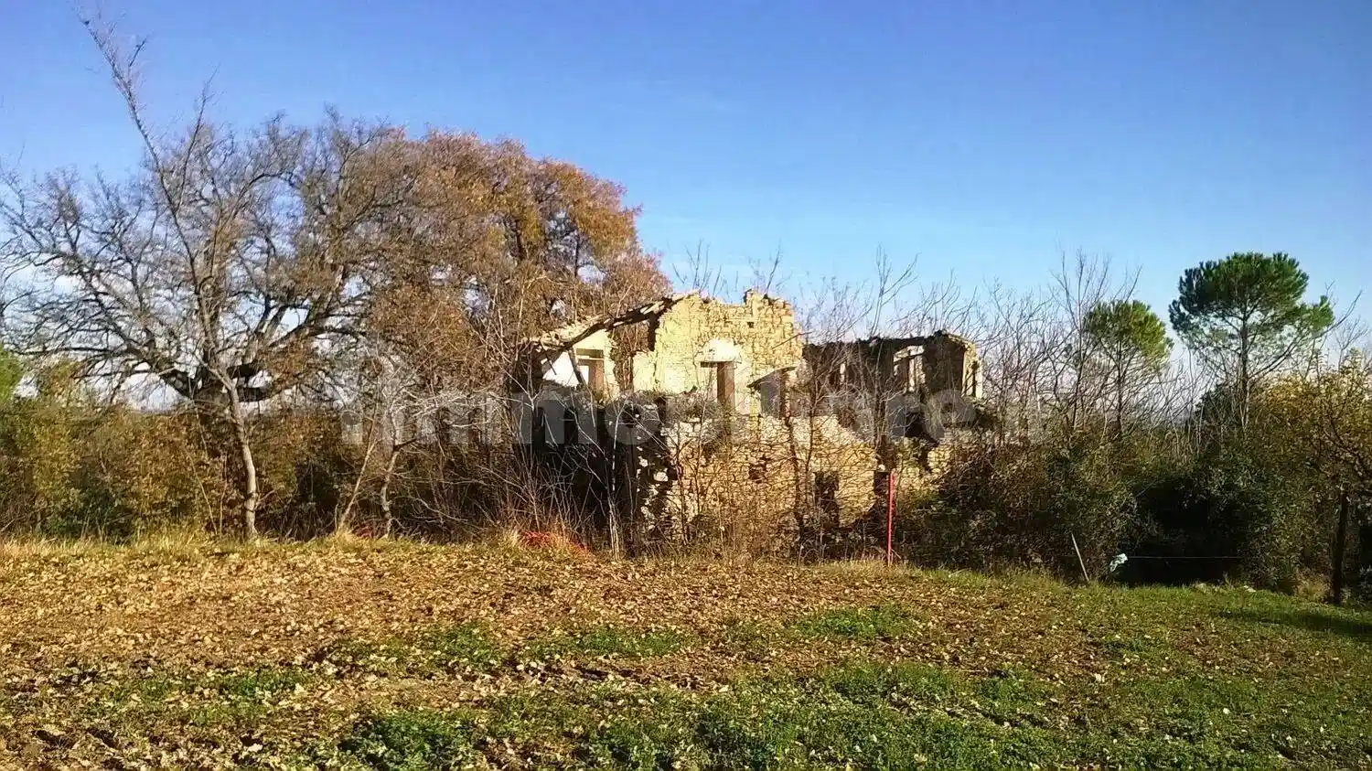 Rustico - Casale in vendita a Cingoli