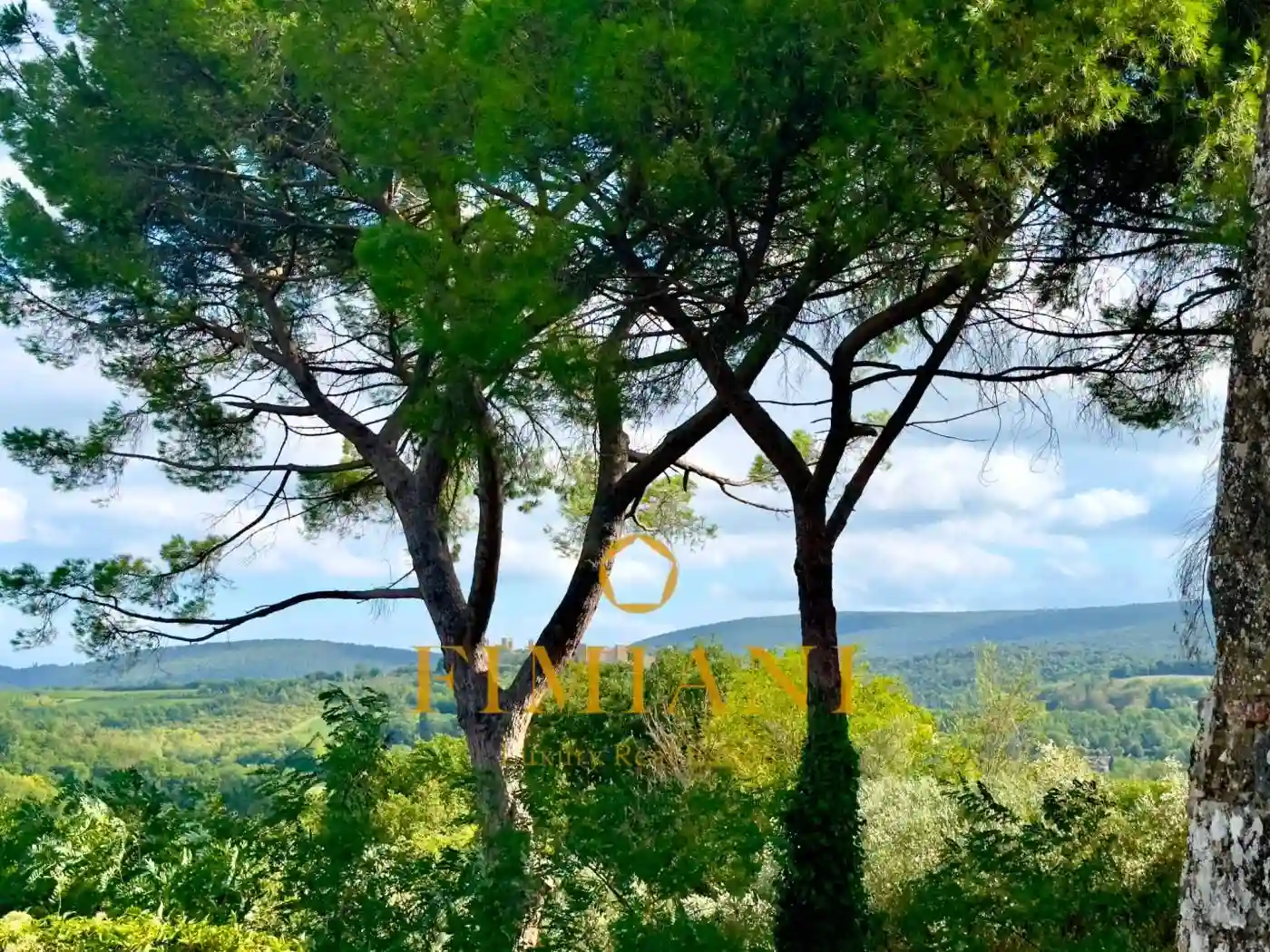 Palazzo - Edificio - foto 5