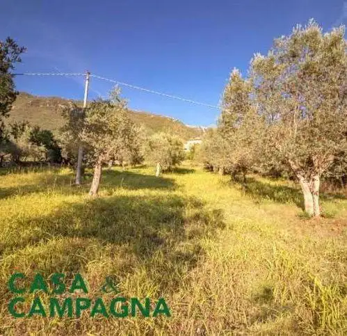 Rustico Strada Provinciale 330, Capriati a Volturno - foto 3