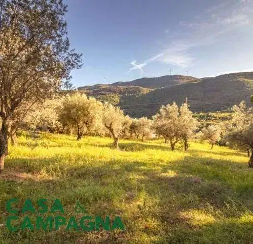 Rustico Strada Provinciale 330, Capriati a Volturno - foto 4