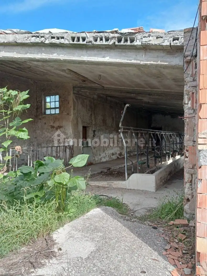 Casale via Fonte di Luccara 33, Centro, Baranello - foto 4