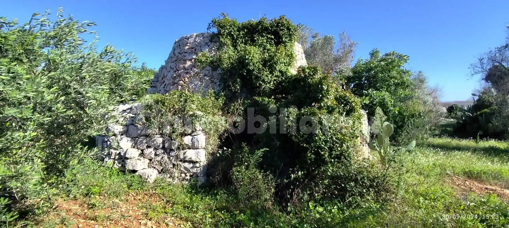 Villa in vendita a Salve