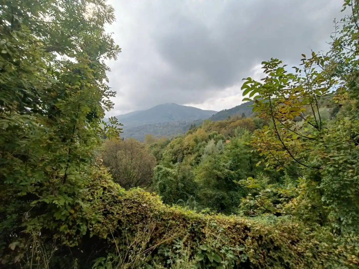 Villa in vendita a Viola