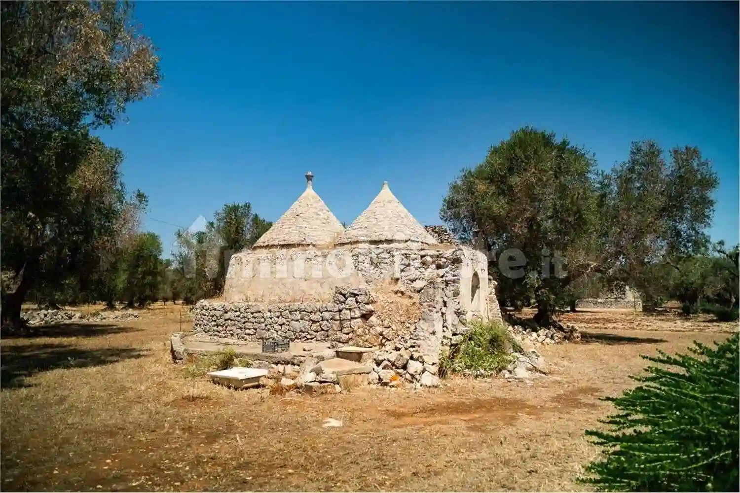 Rustico - Casale - foto 3