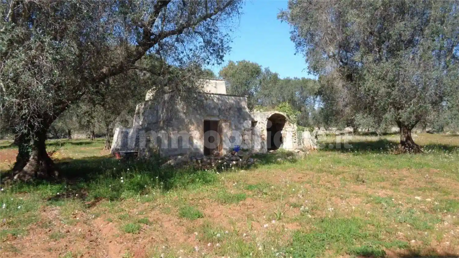 Rustico - Casale in vendita a San Michele Salentino