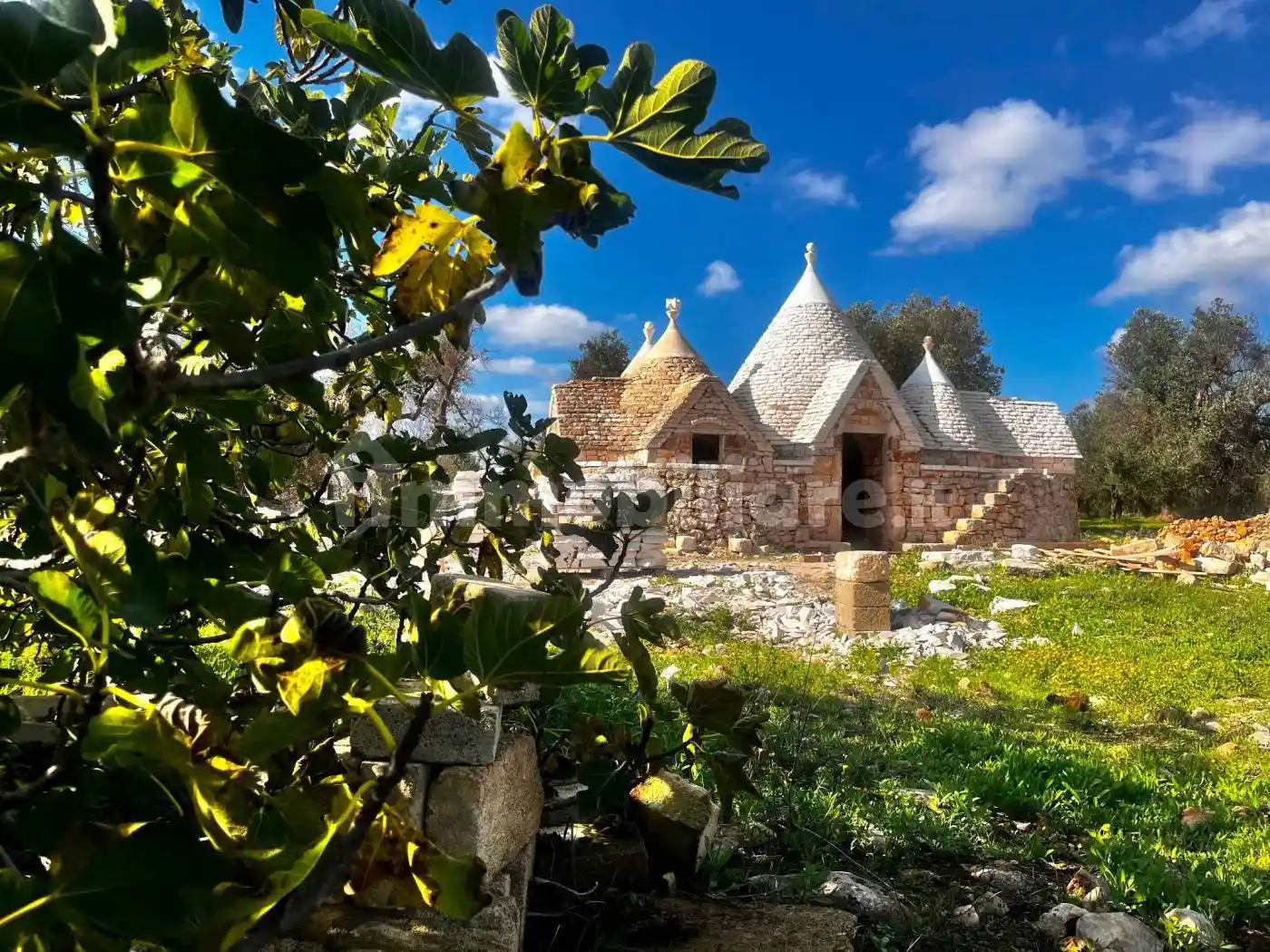 Rustico - Casale in vendita a Ceglie Messapica