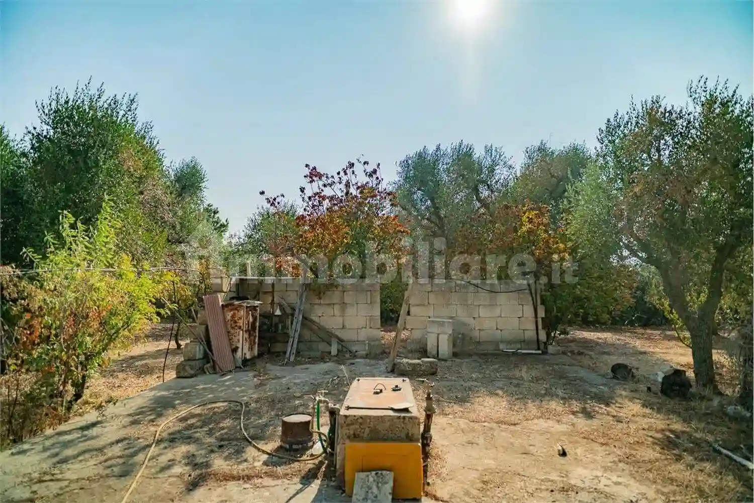 Rustico - Casale - foto 5