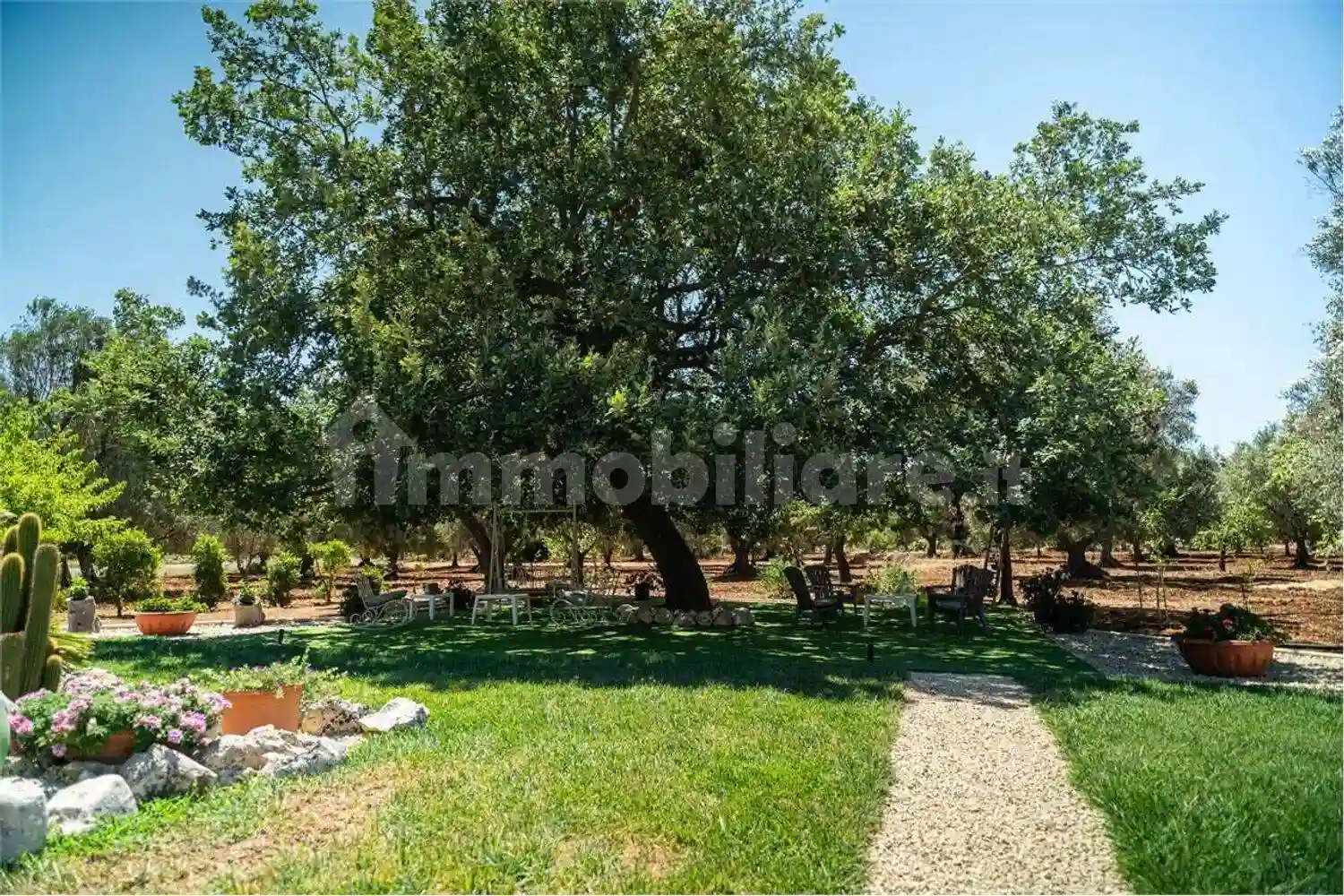 Rustico - Casale - foto 5