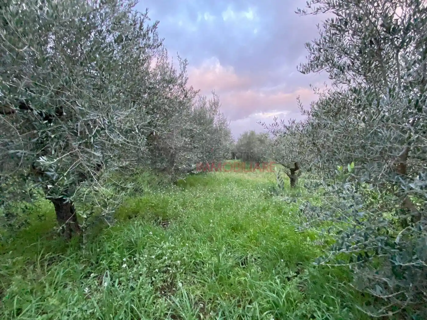 Rustico - Casale in vendita a Monte Compatri