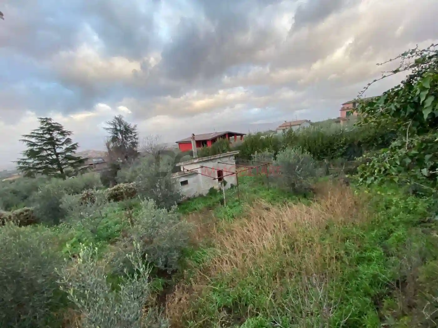 Rustico - Casale - foto 4