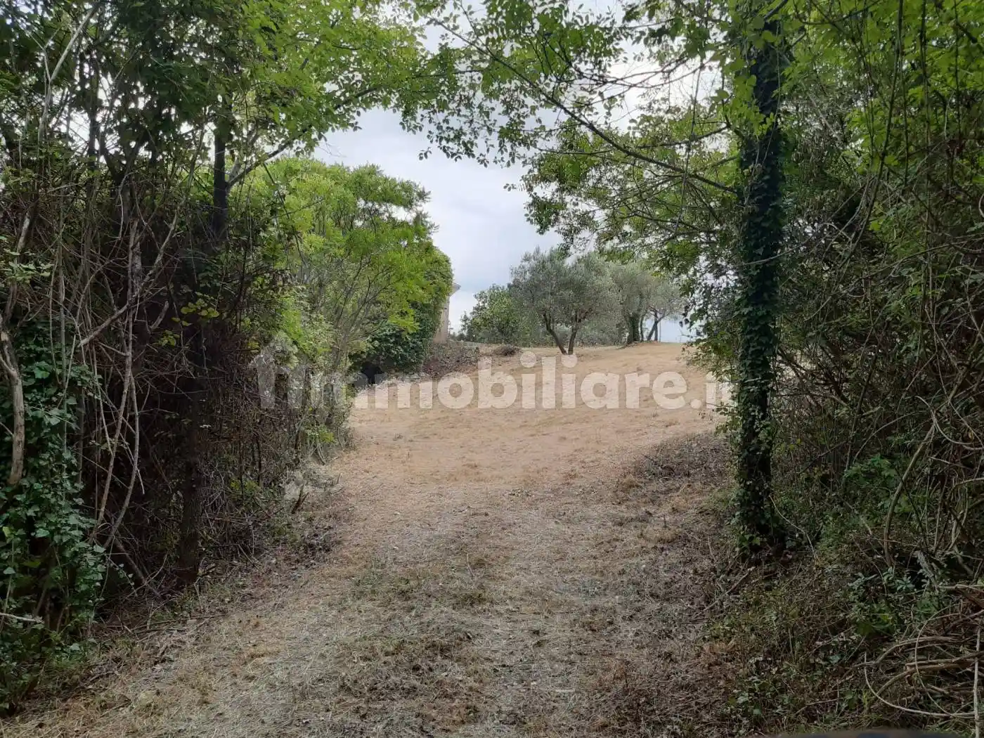 Rustico - Casale in vendita a Cittaducale