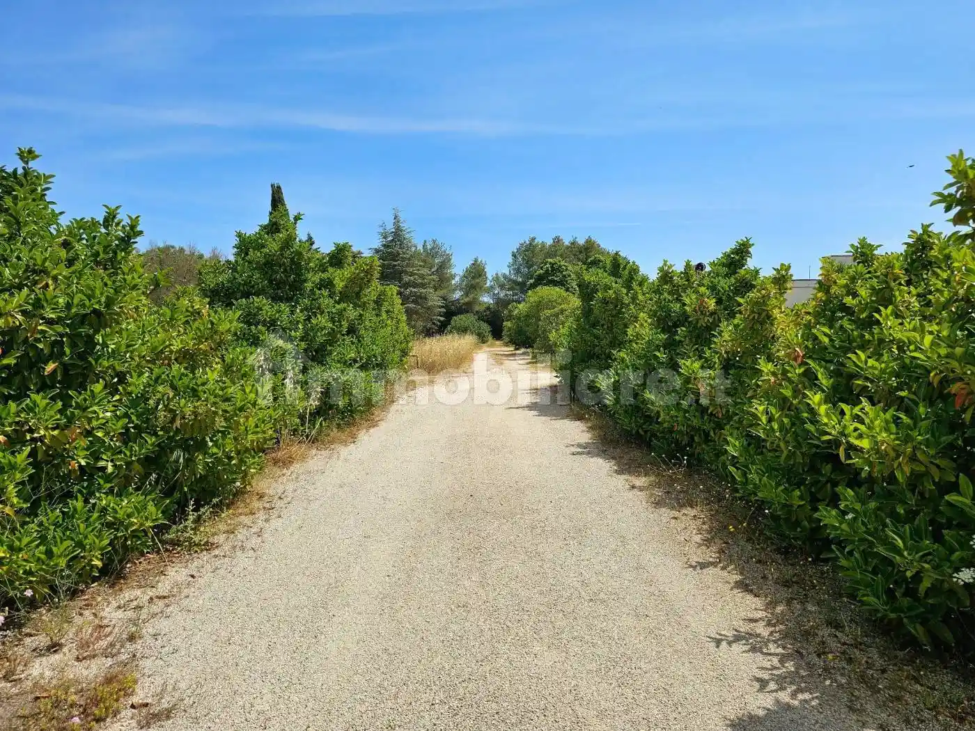 Palazzo - Edificio - foto 3