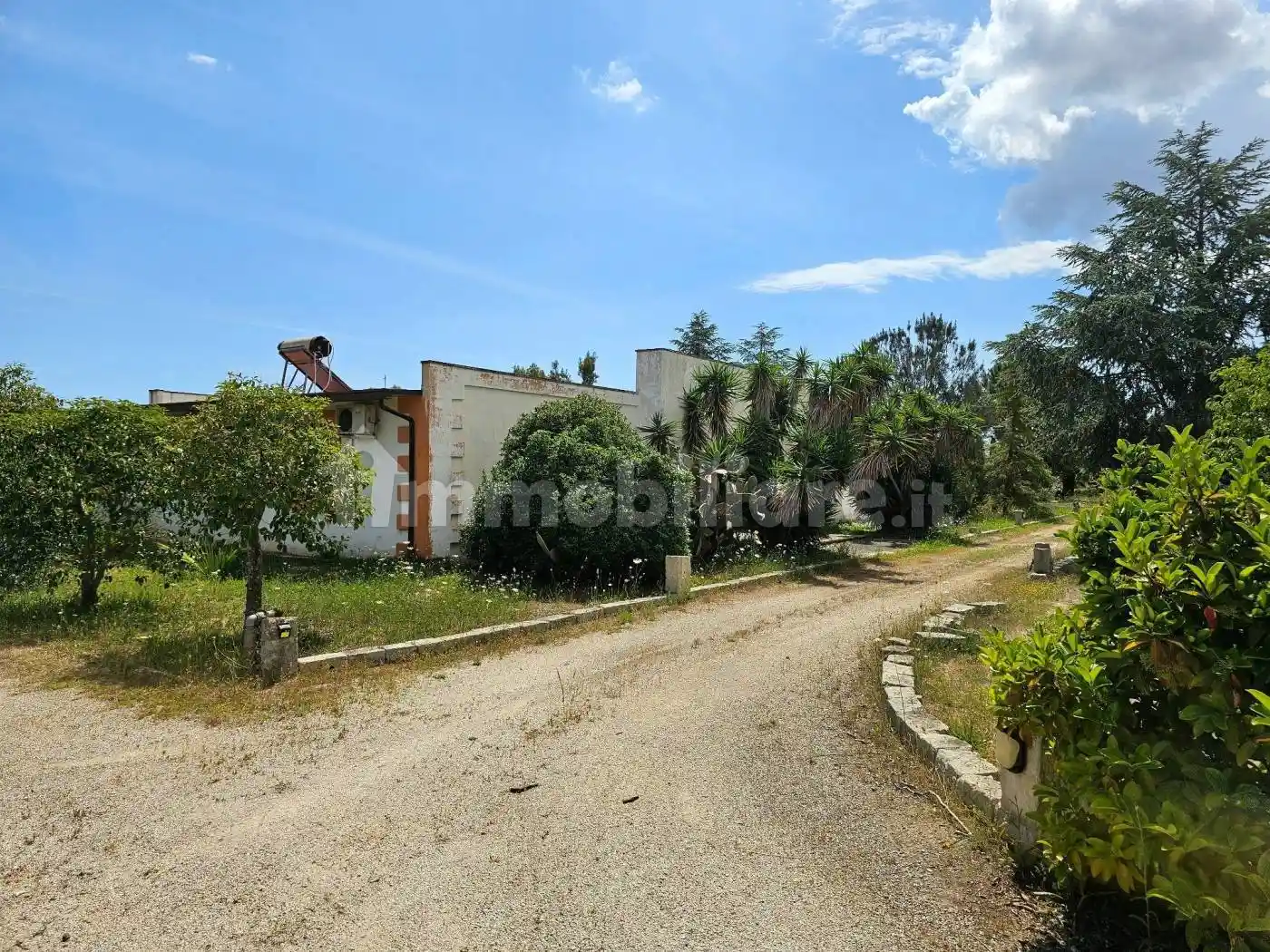 Palazzo - Edificio - foto 4