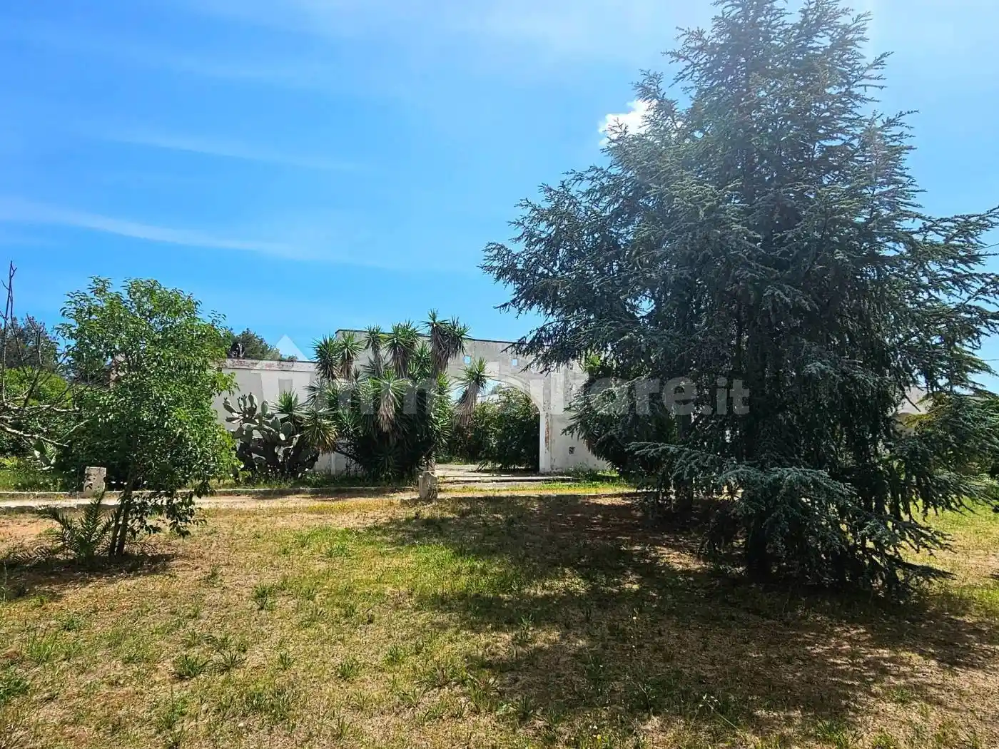 Palazzo - Edificio - foto 5