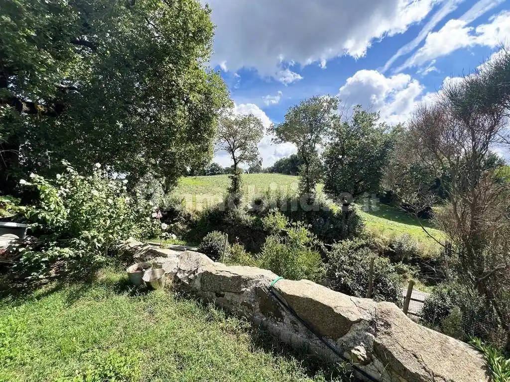 Villa in vendita a Scansano