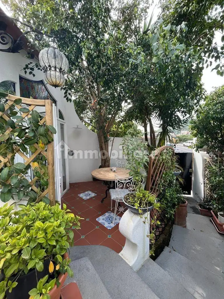 Appartamento in affitto a Lacco Ameno