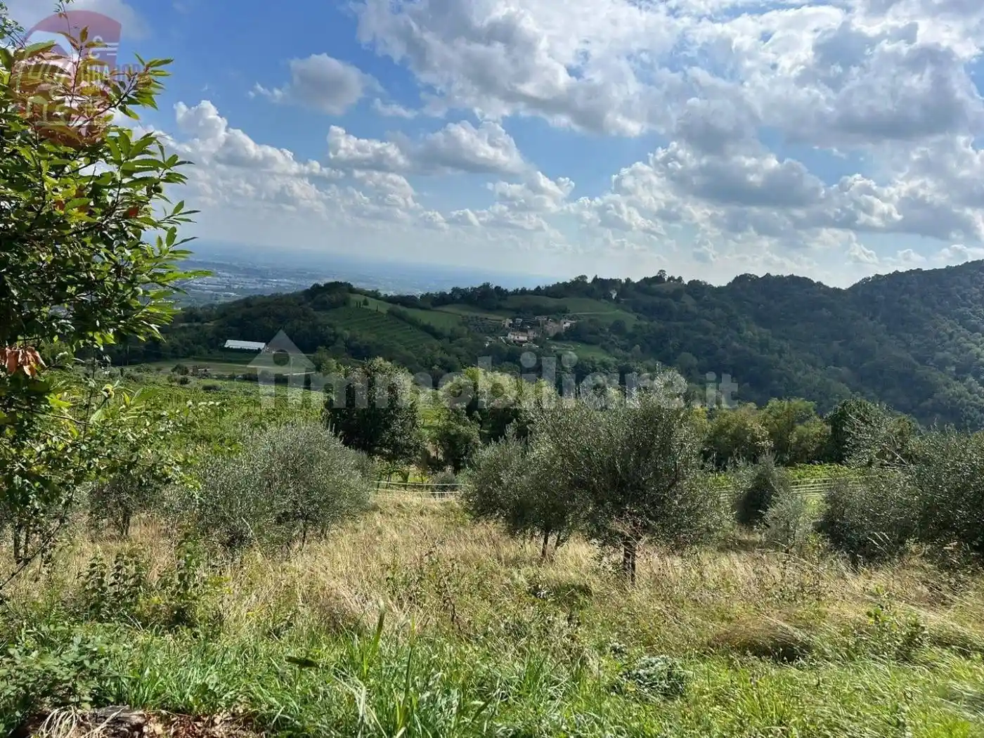 Rustico - Casale in vendita a Vittorio Veneto