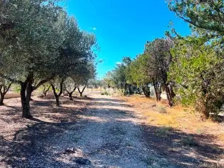 Rustico - Casale in vendita a Foggia