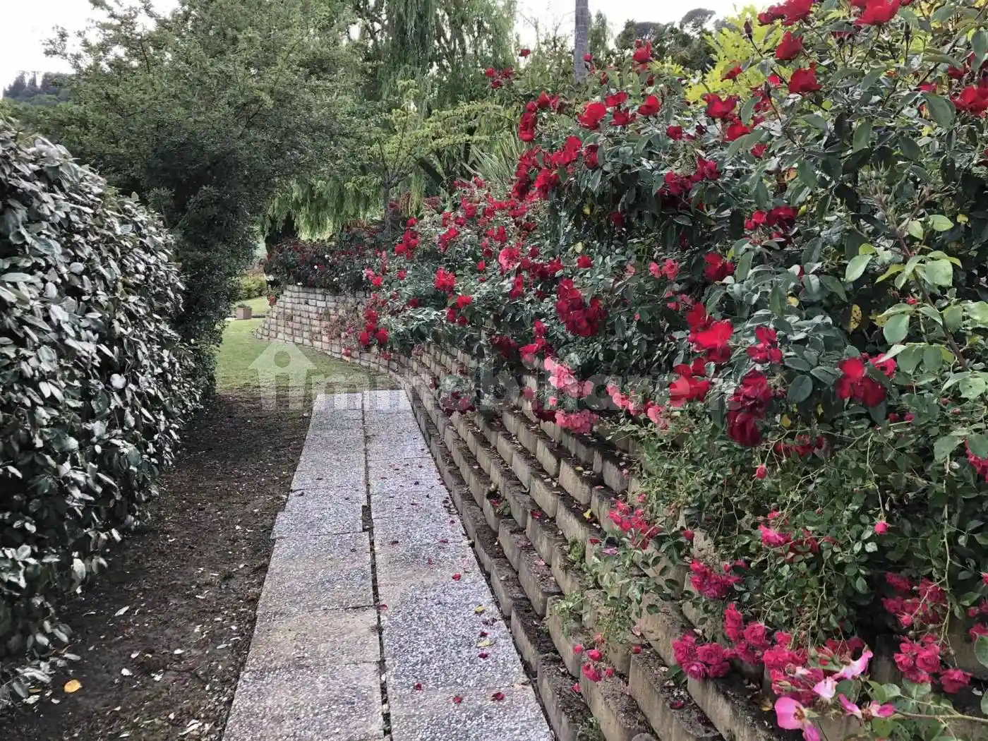 Villa bifamiliare, nuova, 293 m², Cigoli, La Serra, Bucciano, Balconevisi, San Miniato - foto 4