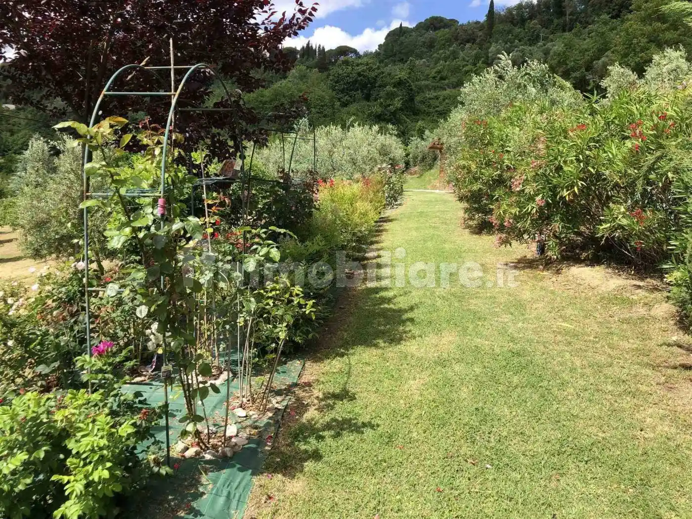 Villa bifamiliare, nuova, 293 m², Cigoli, La Serra, Bucciano, Balconevisi, San Miniato - foto 5