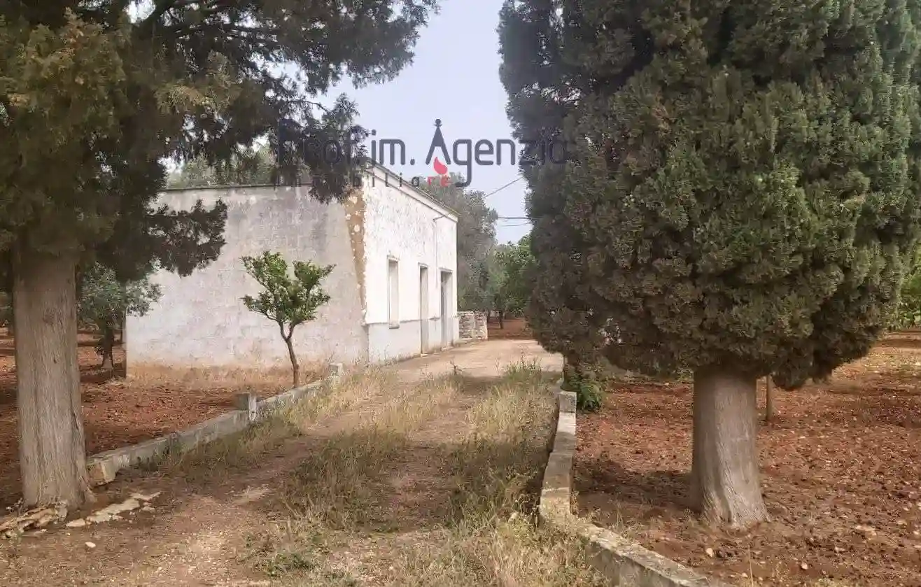 Rustico - Casale - foto 5