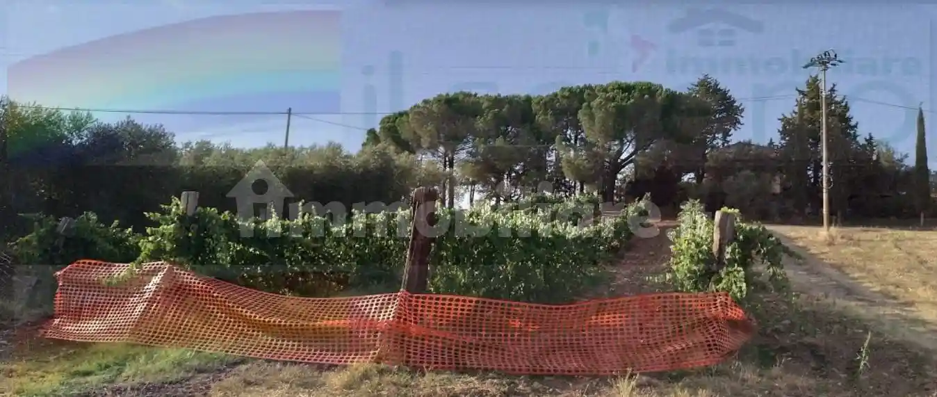 Rustico - Casale in vendita a Campagnatico