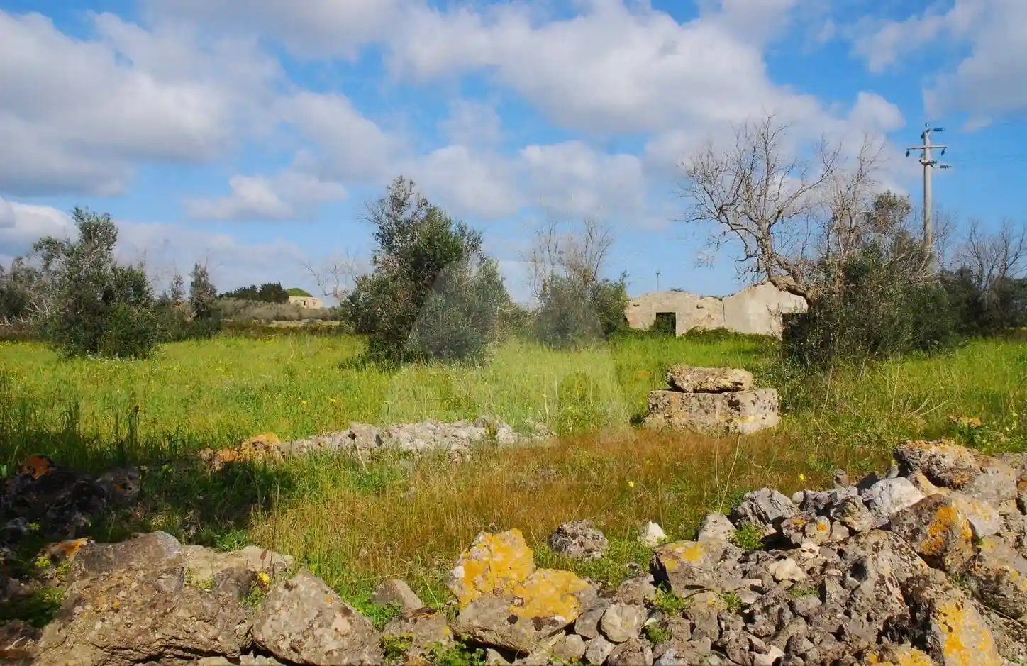 Casa indipendente in vendita a Alessano