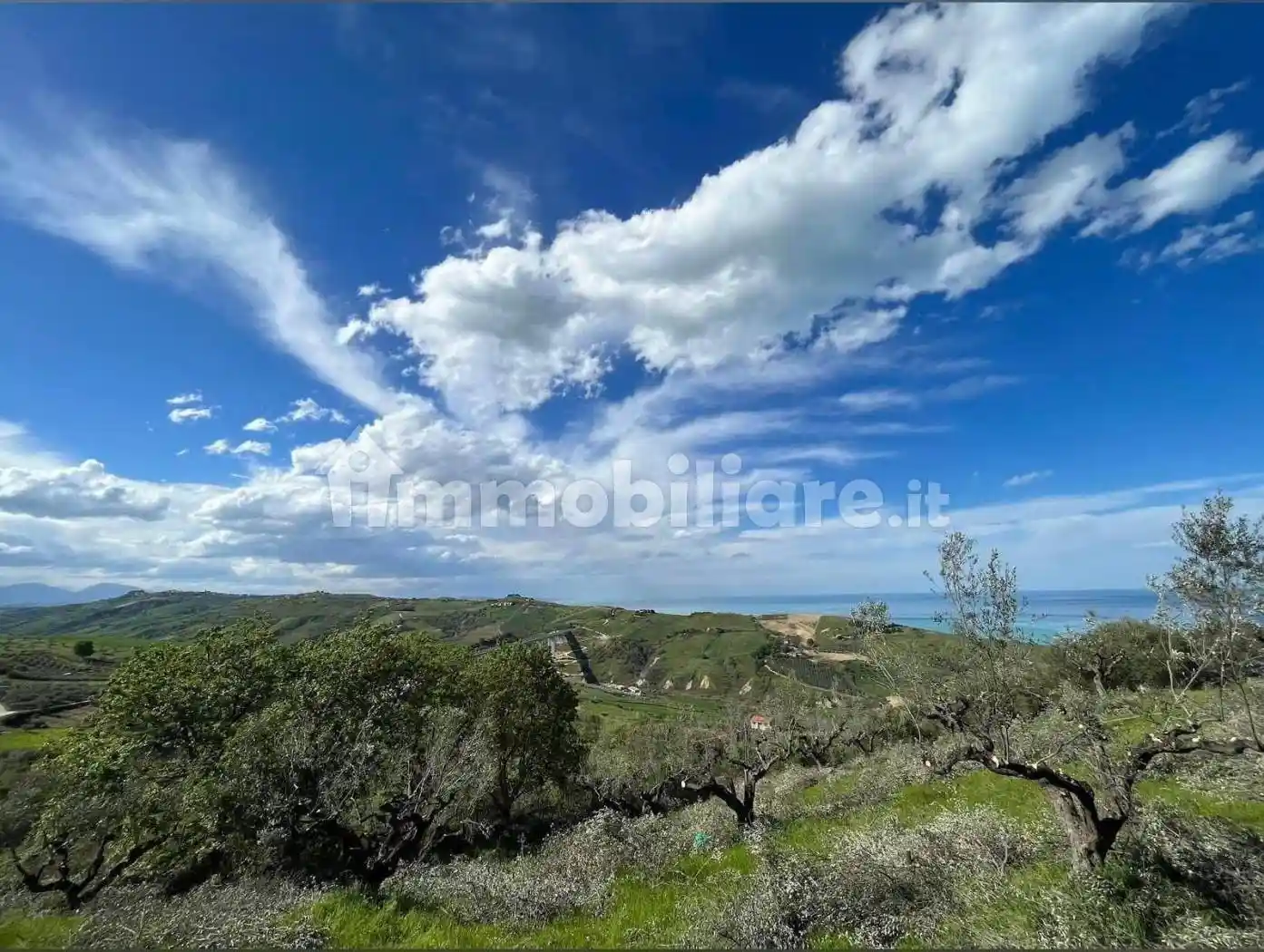 Appartamento in affitto a Silvi