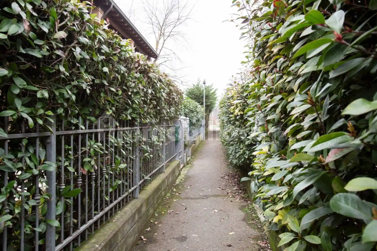 Villa a schiera via Achille Grimaldi, Codemondo, Reggio Emilia - foto 3