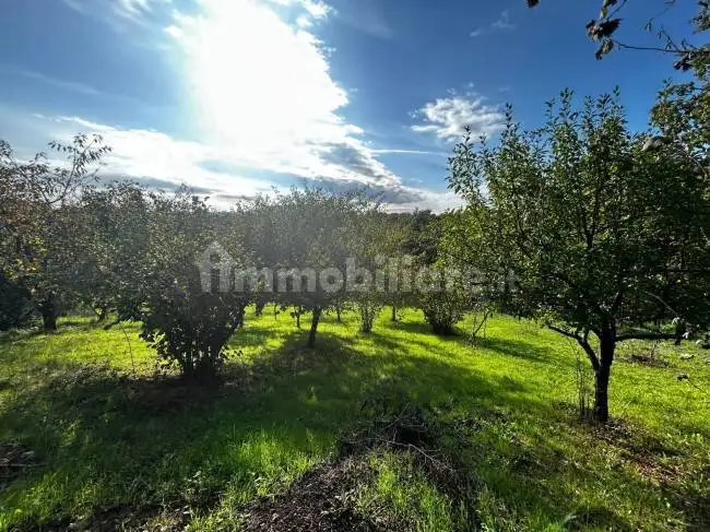 Rustico Strada Provinciale Ortana, Bassano in Teverina - foto 4