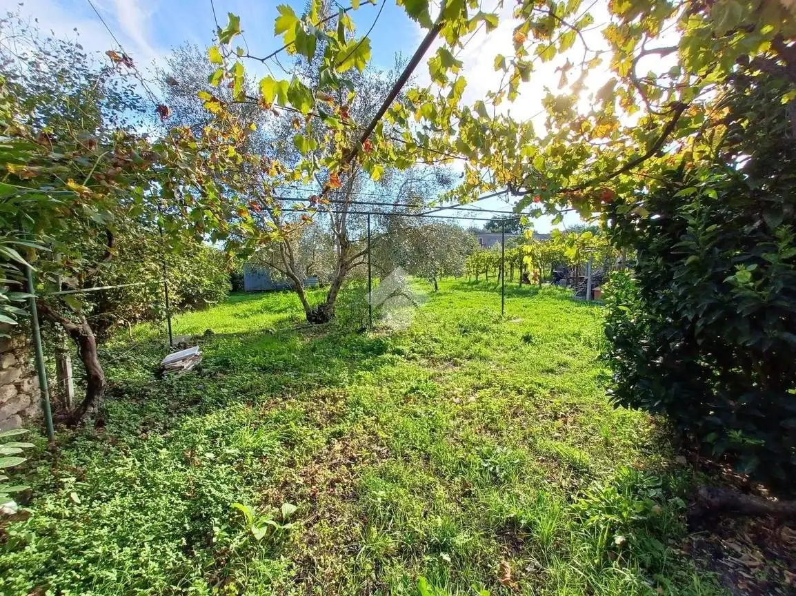 Palazzo - Edificio in Vendita - foto 4