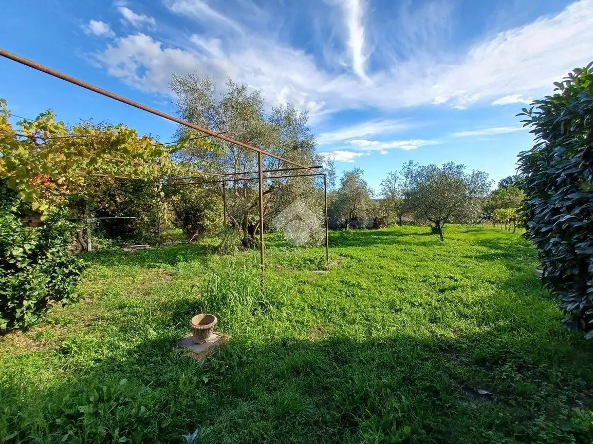 Palazzo - Edificio in Vendita - foto 5