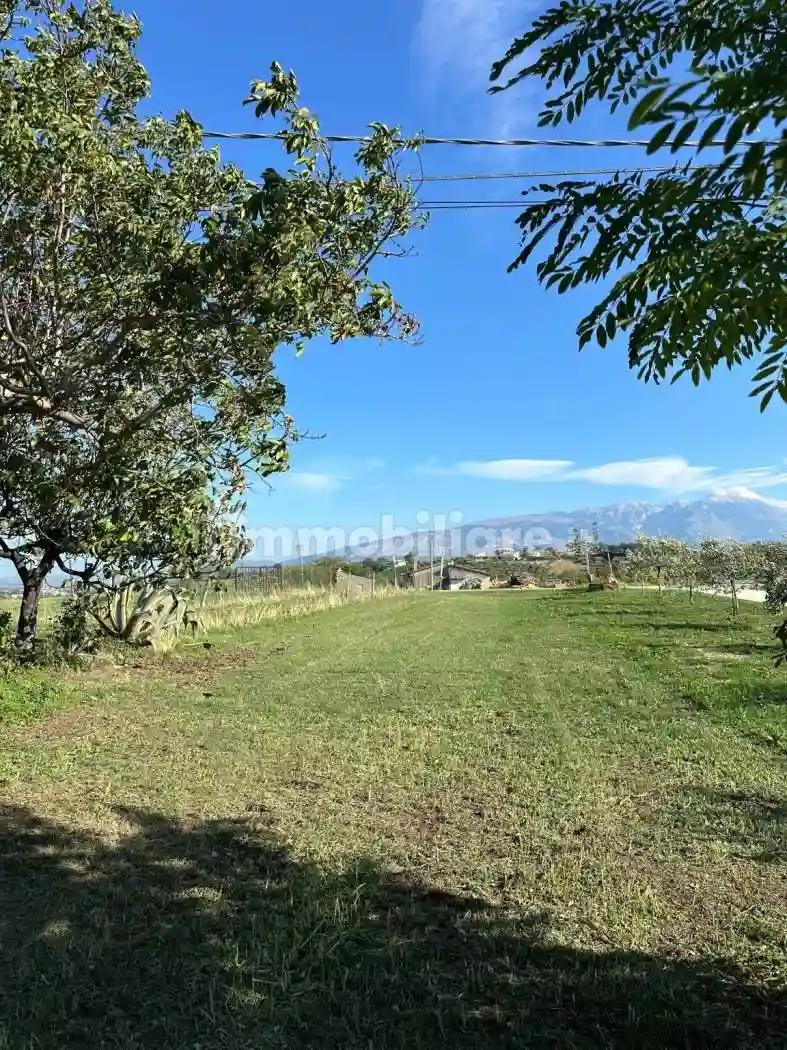 Casa colonica Contrada Piano Finocchio 30, Cugnoli - foto 4