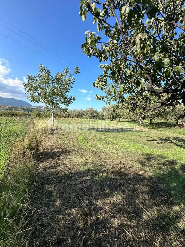 Casa colonica Contrada Piano Finocchio 30, Cugnoli - foto 5