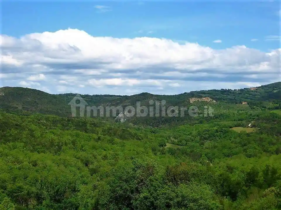 Rustico - Casale in vendita a Murlo