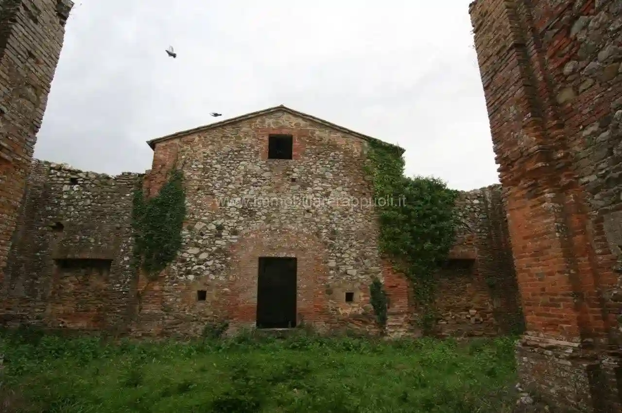 Rustico - Casale - foto 5