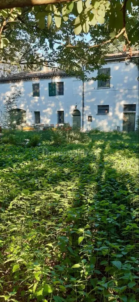 Rustico - Casale in vendita a Forlì