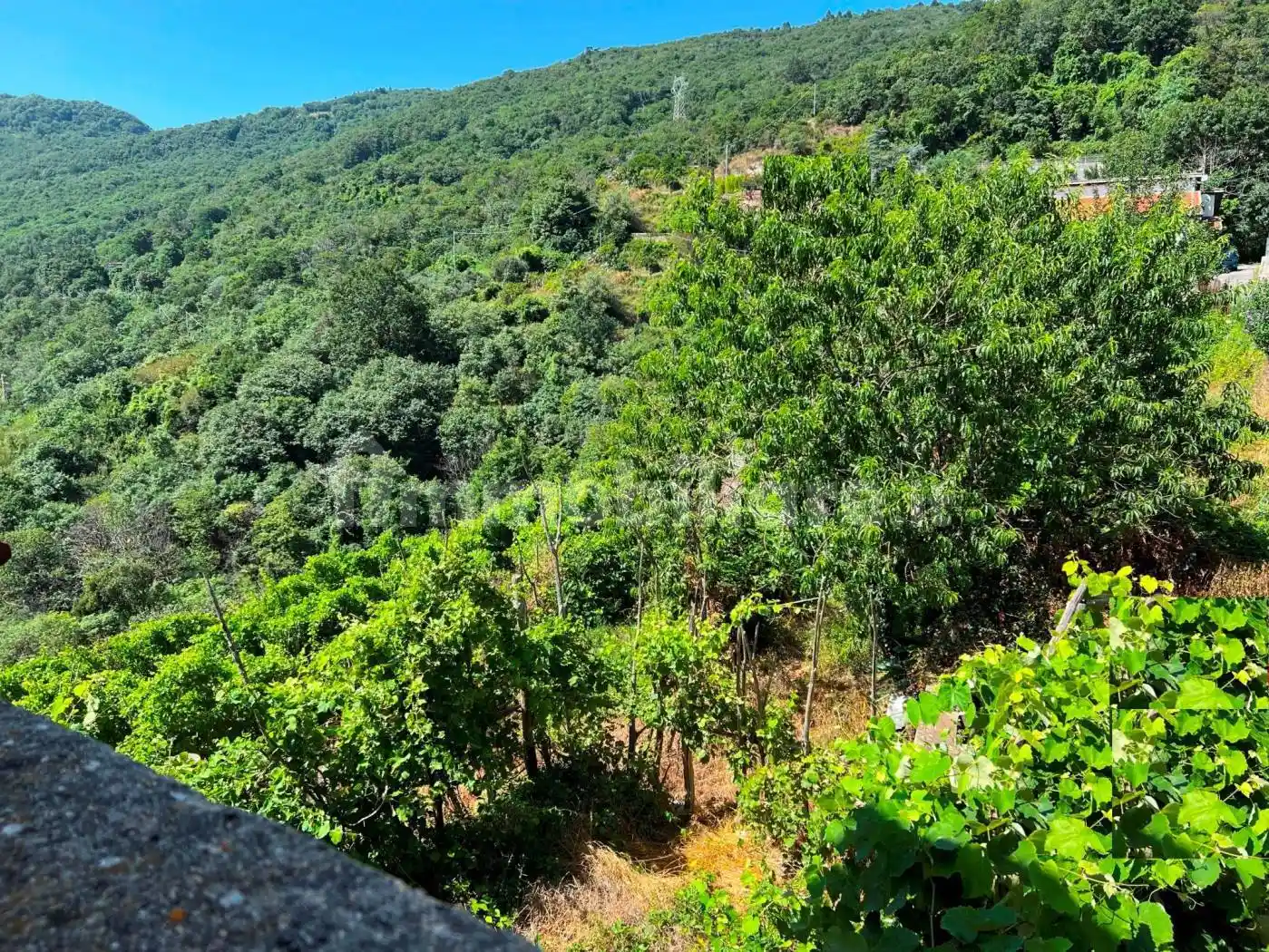 Rustico - Casale in vendita a Vezzi Portio