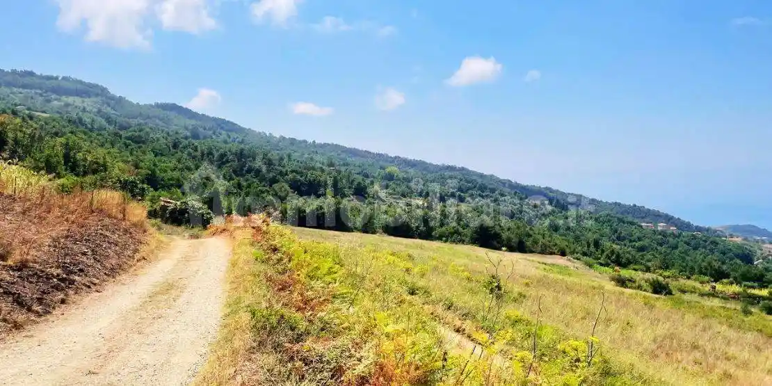 Trilocale Piano La Poma, Belvedere Marittimo - foto 2