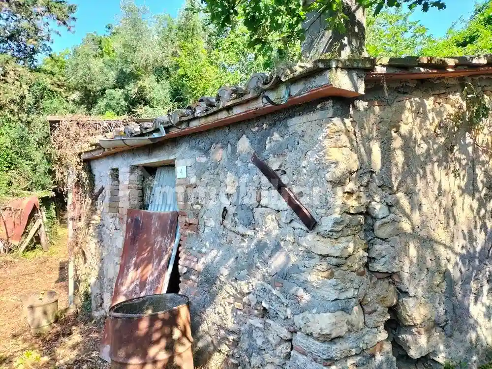 Rustico - Casale - foto 2