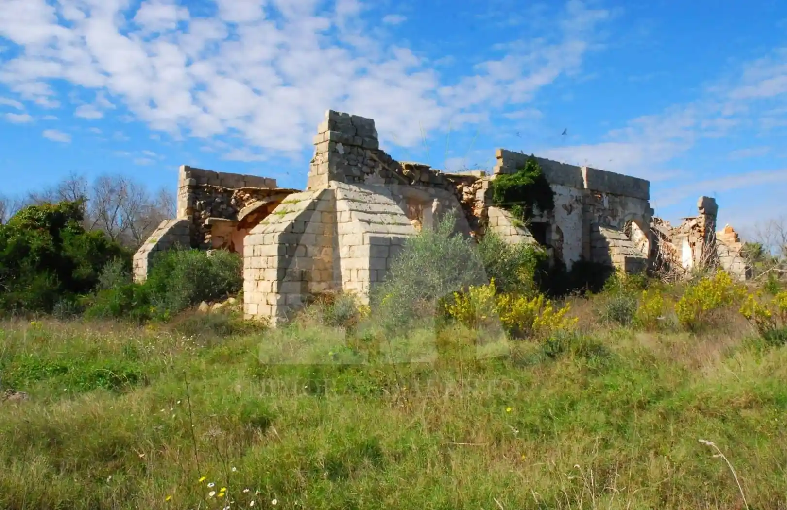 Casa indipendente in vendita a Alessano