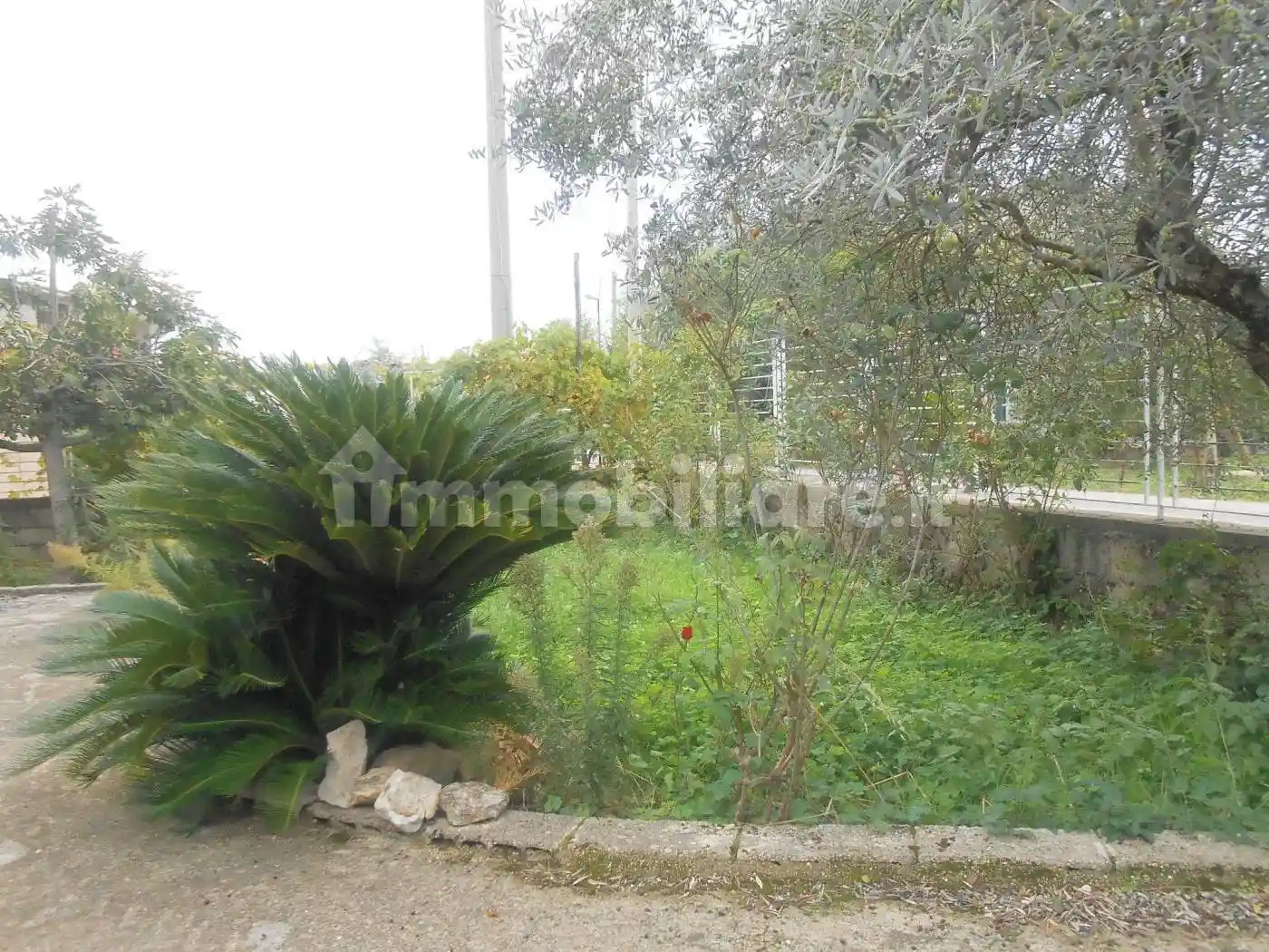 Villa unifamiliare Contrada Festola, Festola, Montemiletto - foto 5