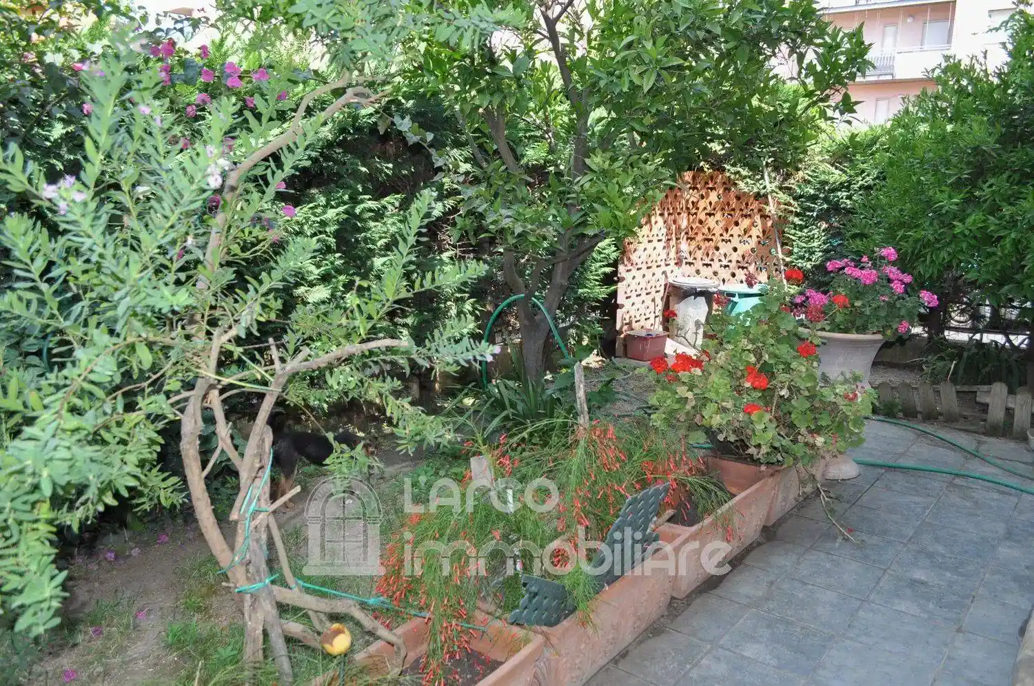 Villa unifamiliare via Campo Volo San C., Campo Volo, Fiume Lao, La Bruca, Scalea - foto 4