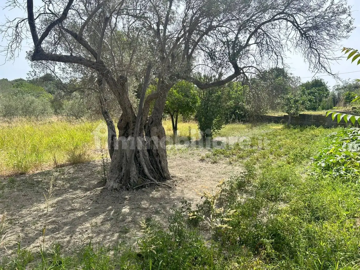 Casale Contrada Salvatore, Ardore Marina, Ardore - foto 3